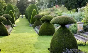 Rzeźby z roślin – jak stworzyć zachwycające topiary w ogrodzie