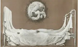 Surrealistyczne obrazy Starowieyskiego: groteskowa postać nad łóżkiem, litery R.O.Z.E.W.Z.C.I. i napis "Małe Małżeństwo".