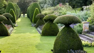 Rzeźby z roślin – jak stworzyć zachwycające topiary w ogrodzie