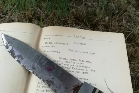 Nóż na kartach "Balladyny" sugeruje, dlaczego Balladyna zabiła Alinę – z zazdrości i żądzy władzy.