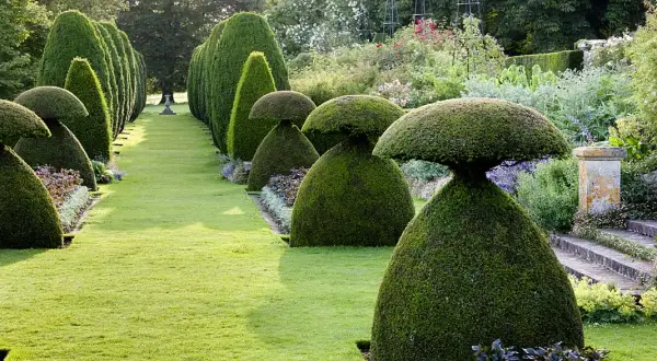 Rzeźby z roślin – jak stworzyć zachwycające topiary w ogrodzie