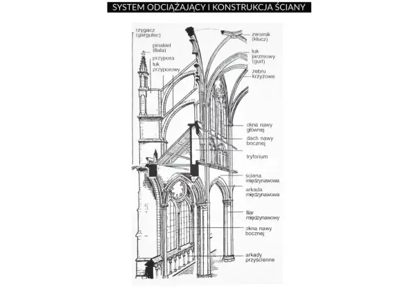 Przekrój architektoniczny ukazujący system odciążający i konstrukcję ściany w stylu gotyk, z elementami jak przypory, łuki i żebra krzyżowe.