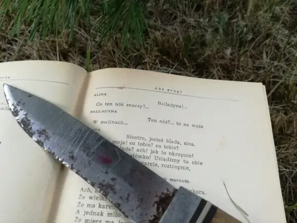 Nóż na kartach "Balladyny" sugeruje, dlaczego Balladyna zabiła Alinę – z zazdrości i żądzy władzy.